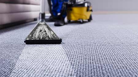 Effective Carpet Cleaning Berwick