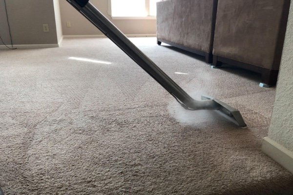 Professional Carpet Cleaner